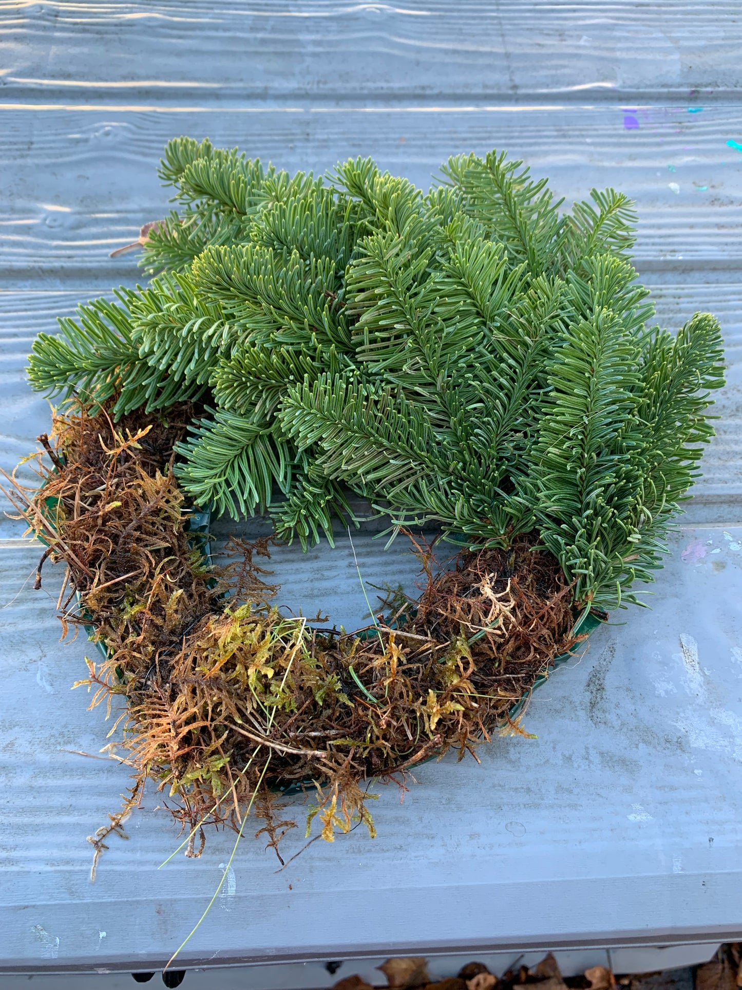 Traditional Christmas Wreath Workshop